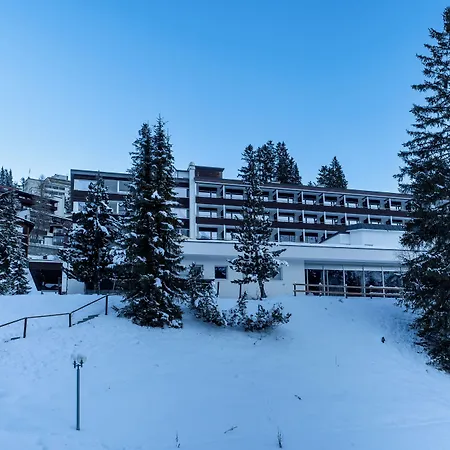 Alpine Club - Adults Only Arosa