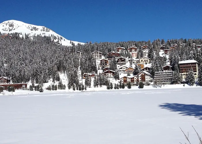 Alpine Club - Adults Only Otel Arosa