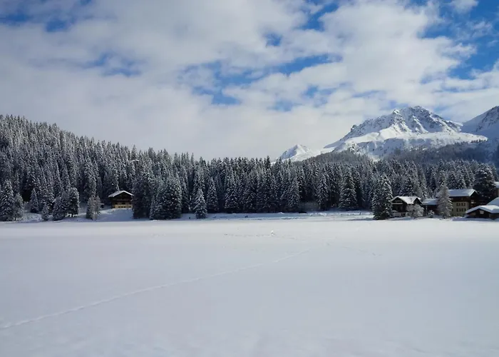 Alpine Club - Adults Only Otel Arosa